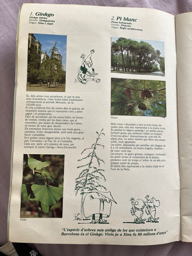Álbum Arboles de Barcelona