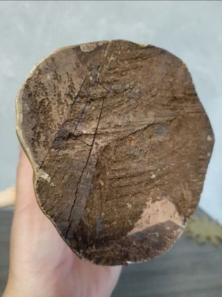 Niño Jesús madera policromada