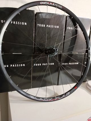 Ruota MTB posteriore 29 perno passante non boost 1