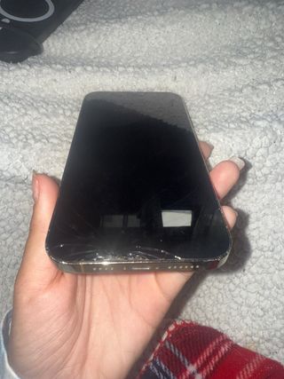 iPhone 12 Pro Max - Dorado y Plateado