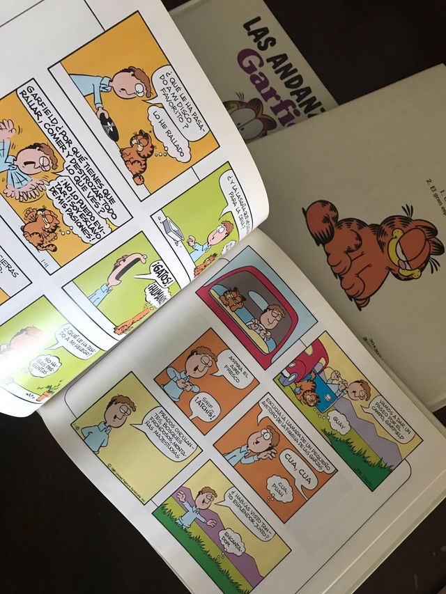 Los Tesoros de Garfield 2, 3 y 4 + regalo