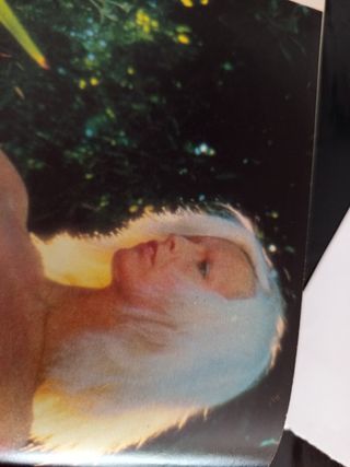 Interviú n°253 (1981) Patty Pravo