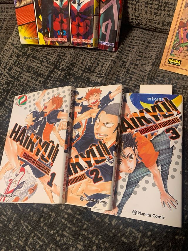 Lote manga