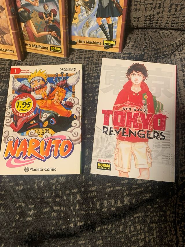 Lote manga