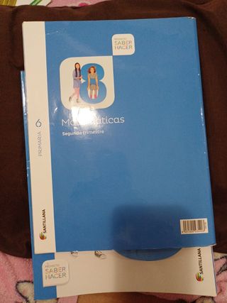 Matemáticas 6 primaria