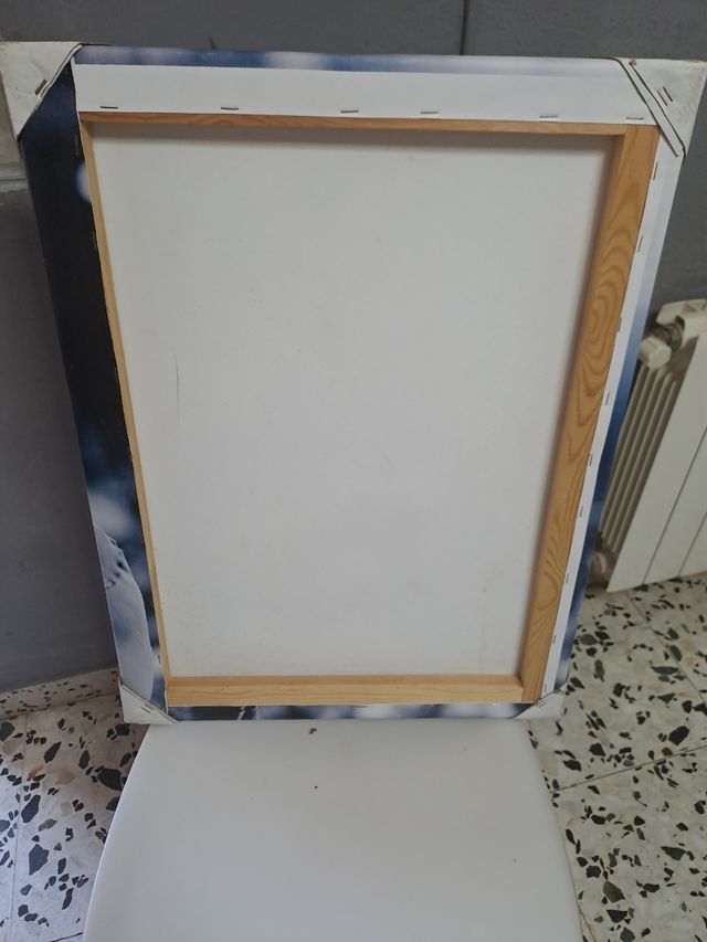 Cuadro Messi Barça para colecimista