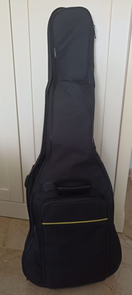 Guitarra eléctrica Tenson con funda