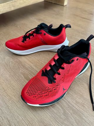 Zapatillas Jordan Zoom Trunner Advance