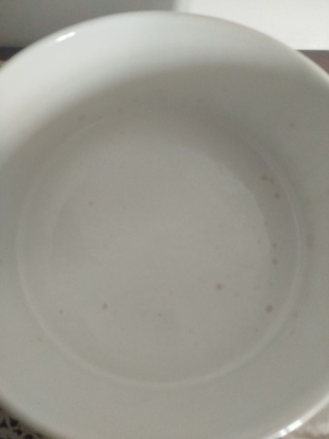 Pirofila Richard Ginori - Piatto da forno