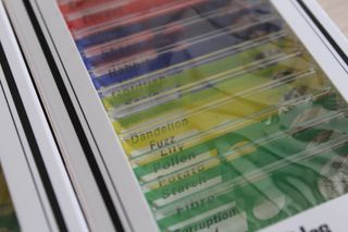 Laminas de Microscopio para niños (2 uds)