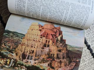 Biblia de la Familia