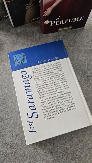 Novela "La balsa de piedra"