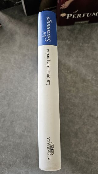 Novela "La balsa de piedra"