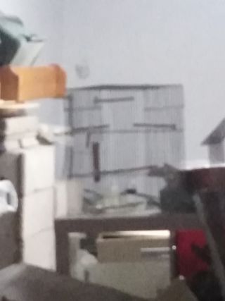 Jaula pajaros/hamster