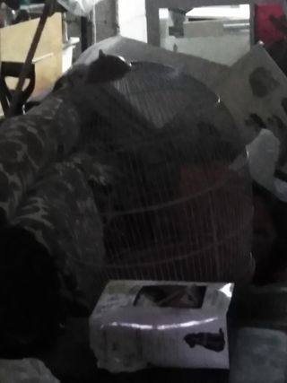 Jaula pajaros/hamster