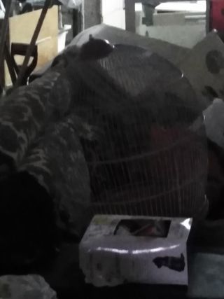 Jaula pajaros/hamster