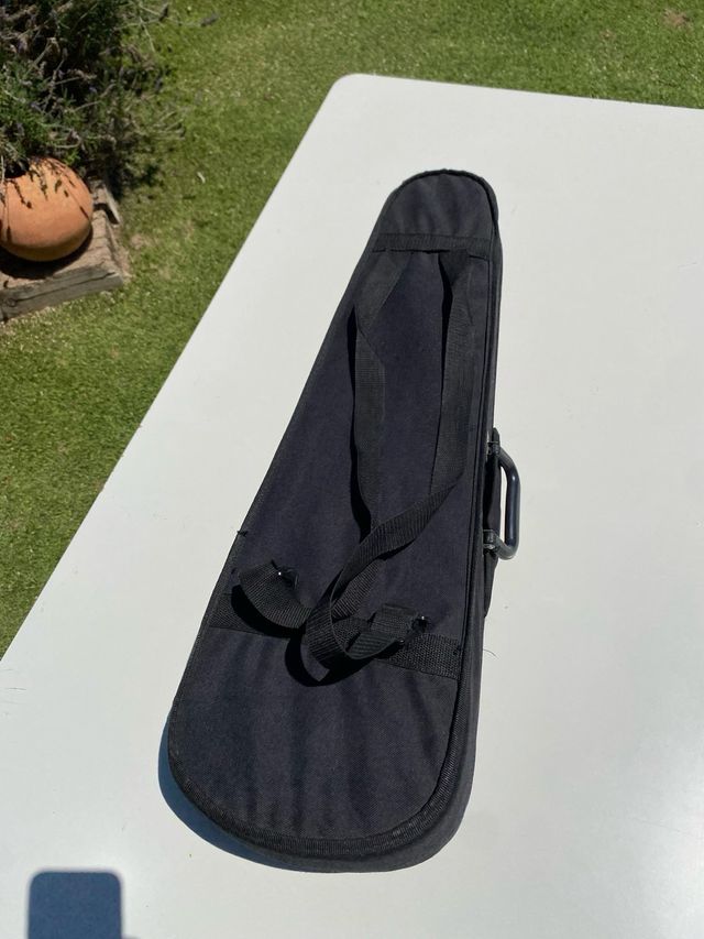 Violín con arco y accesorios