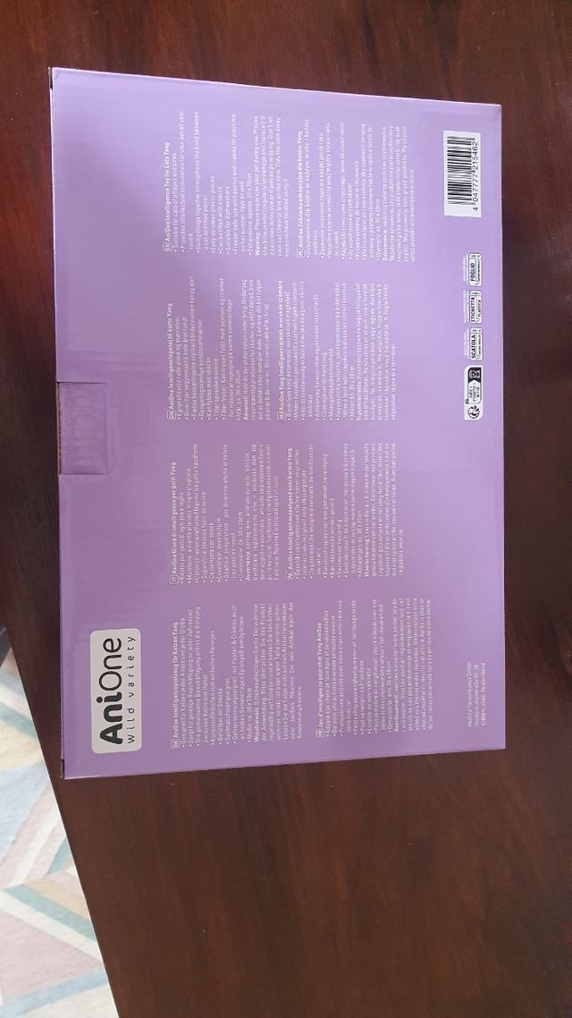 Gioco Intelligenza Gatti Anione