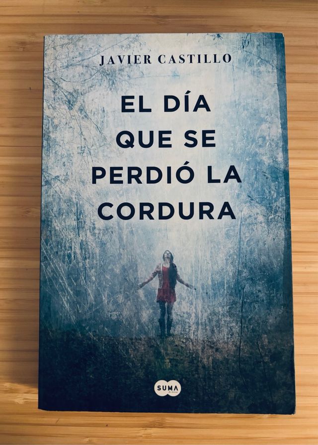 El día que se perdió la cordura