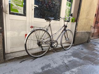 Bicicleta clásica Batavus