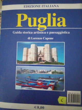 Puglia. Guida storico artistica e paesaggistica