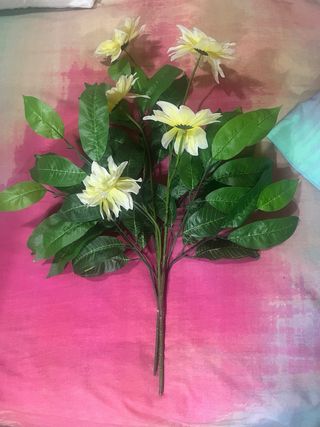 Plantas artificiales decorativas