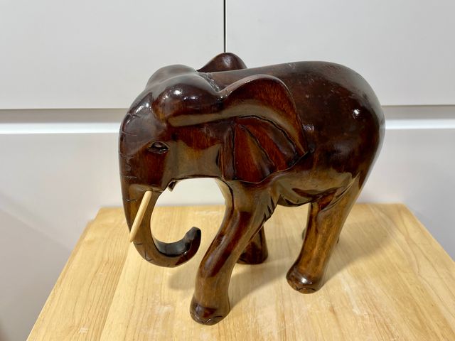Elefante africano de grandes dimensiones