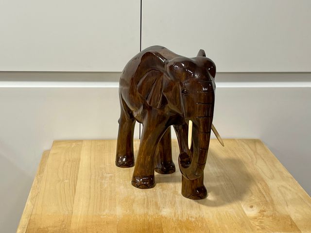 Elefante africano de grandes dimensiones