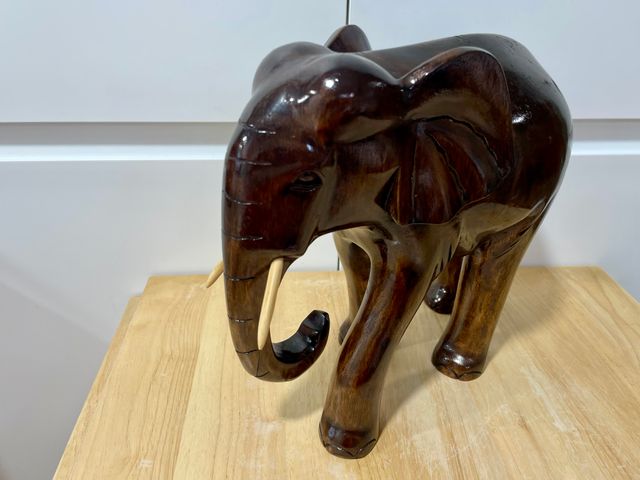 Elefante africano de grandes dimensiones