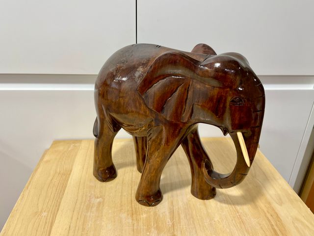Elefante africano de grandes dimensiones