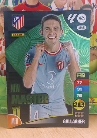 LOTE NEW MASTER 11  Adrenaly XL 24-25