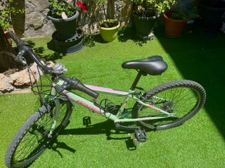 Bicicleta Wader de montaña

