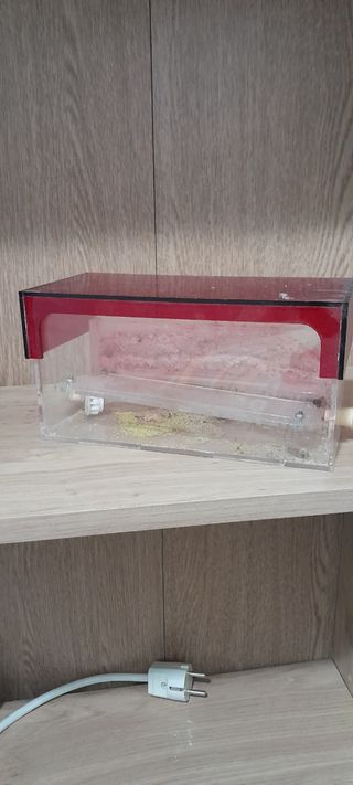 Terrario hormigas acrílico rojo