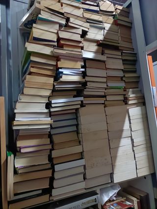 Lote Más de 500 libros, Novela, literatura(0'32€)