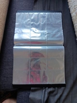 Album Pokemon: Impecable