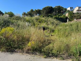Desbroce parcelas - Limpieza terreno