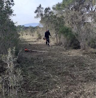 Desbroce parcelas - Limpieza terreno