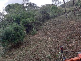 Desbroce parcelas - Limpieza terreno
