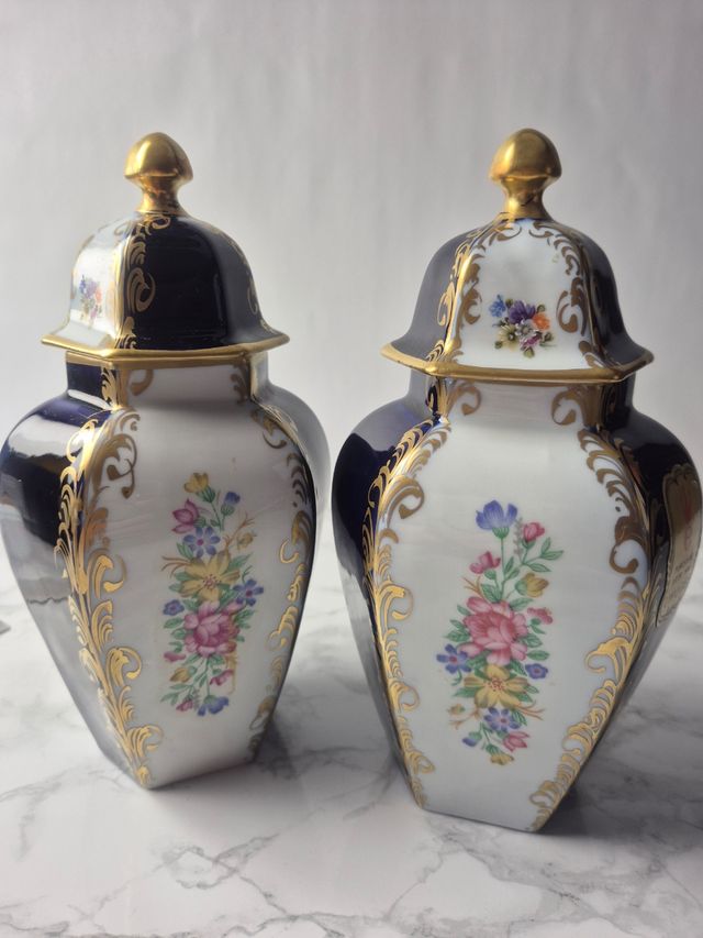 Vasi Limoges Porcellana - Coppia