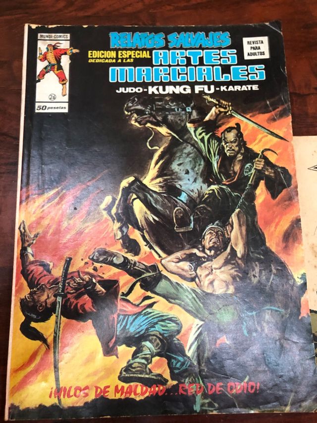 LOTE COMICS ANTIGUOS RELATOS SALVAJES,FLECHA ROJA