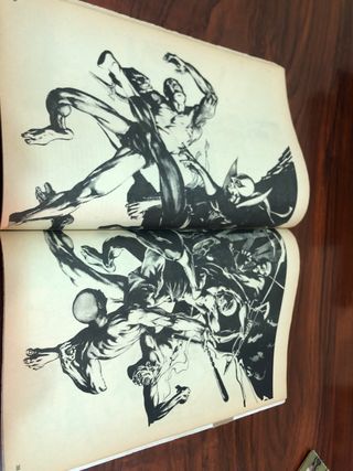 LOTE COMICS ANTIGUOS RELATOS SALVAJES,FLECHA ROJA