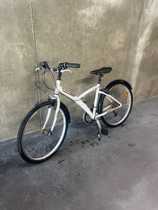 Bicicleta paseo
