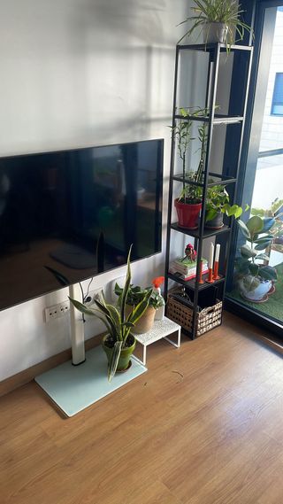 TV Samsung 55" QLED 4K