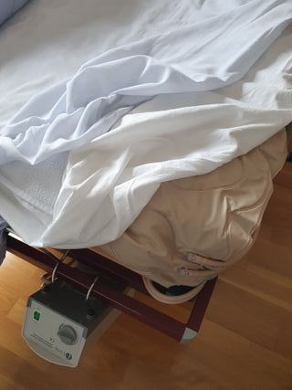 Cama eléctrica articulada con elevación y colchón