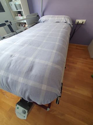 Cama eléctrica articulada con elevación y colchón