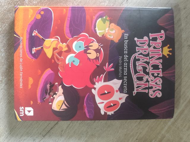 Libros de princesa dragón