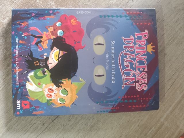 Libros de princesa dragón