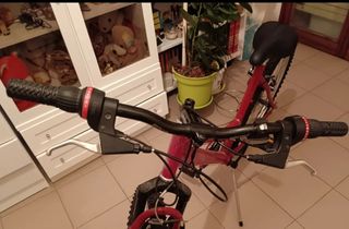 Bicicletta rossa usata