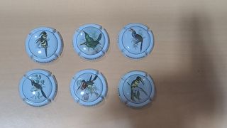 6 Chapas Cava Tucanes - Aves