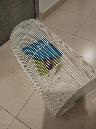 Jaula hamster blanca
